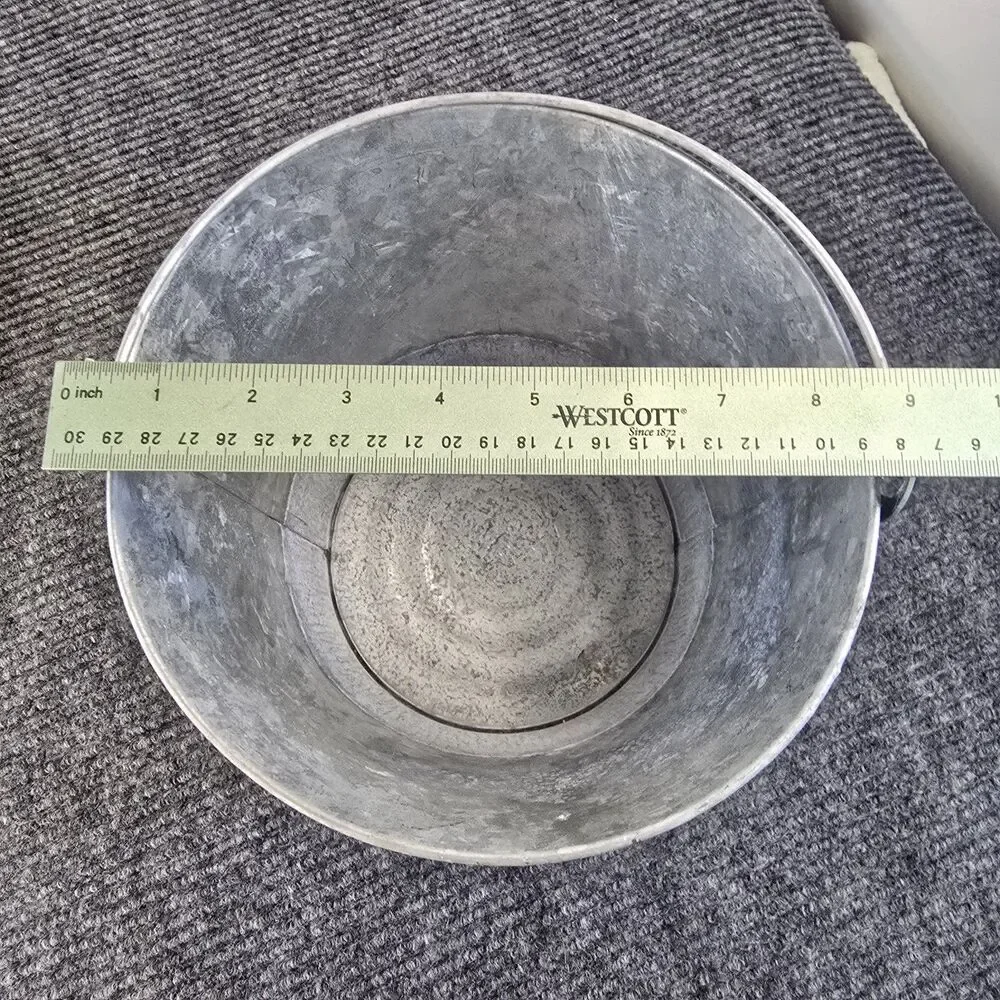 Corona extra galvanized